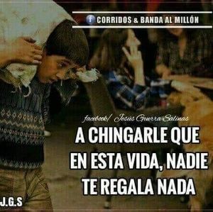 Meet your Posher, Berna